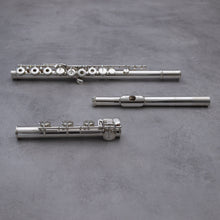 Load image into Gallery viewer, Muramatsu DS RBEO Tsubasa