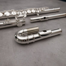 Load image into Gallery viewer, Di Zhao 100 Alto Flute