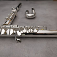 Load image into Gallery viewer, Di Zhao 100 Alto Flute