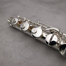 Load image into Gallery viewer, Di Zhao 100 Alto Flute