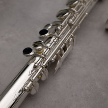 Load image into Gallery viewer, Di Zhao 100 Alto Flute