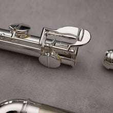 Load image into Gallery viewer, Di Zhao 100 Alto Flute