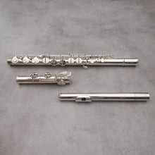 Lataa kuva Galleria-katseluun, Haynes Amadeus AF670-S alttohuilu