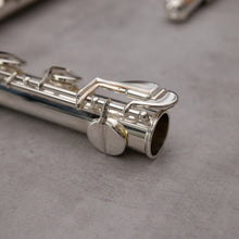 Lataa kuva Galleria-katseluun, Haynes Amadeus AF670-S alttohuilu