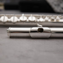 Lataa kuva Galleria-katseluun, Haynes Amadeus AF670-S alttohuilu