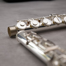 Lataa kuva Galleria-katseluun, Haynes Amadeus AF670-S alttohuilu