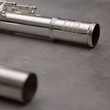 Lataa kuva Galleria-katseluun, Haynes Amadeus AF670-S alttohuilu