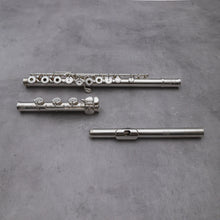 Load image into Gallery viewer, Di Zhao DZ D-SP RBEO