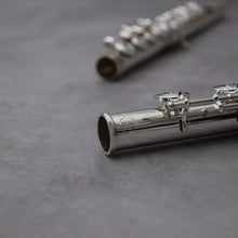 Load image into Gallery viewer, Di Zhao DZ D-SP RBEO