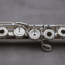 Load image into Gallery viewer, Di Zhao DZ D-SP RBEO