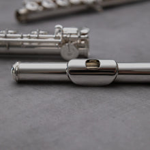 Load image into Gallery viewer, Di Zhao DZ D-SP RBEO