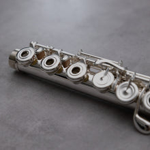 Load image into Gallery viewer, Di Zhao DZ D-SP RBEO