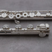 Load image into Gallery viewer, Di Zhao DZ D-SP RBEO