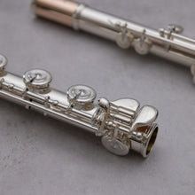 Load image into Gallery viewer, Powell Sonáre PS-905 RBEO / PS75BEF