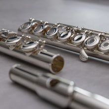 Lataa kuva Galleria-katseluun, Käytetty Pearl Elegante 795 RCEO #14523