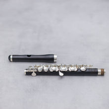 Lataa kuva Galleria-katseluun, Burkart Professional Piccolo