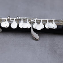 Lataa kuva Galleria-katseluun, Bulgheroni 501 Grenadilla Piccolo