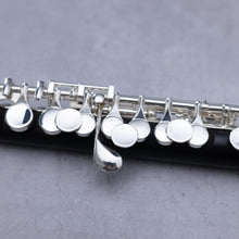 Lataa kuva Galleria-katseluun, Burkart Legacy Piccolo