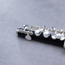 Lataa kuva Galleria-katseluun, Burkart Legacy Piccolo