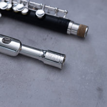 Lataa kuva Galleria-katseluun, Di Zhao 101 Piccolo