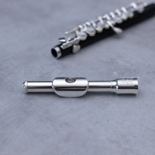 Lataa kuva Galleria-katseluun, Di Zhao 101 Piccolo