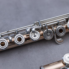 Lataa kuva Galleria-katseluun, Käytetty Brannen 14K runko RBOC# #7345