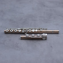 Lataa kuva Galleria-katseluun, Käytetty Brannen 14K runko RBOC# #7345