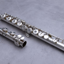 Load image into Gallery viewer, Käytetty Trevor James Recital ST-2 RCEO #RS363