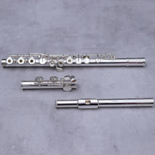 Load image into Gallery viewer, Azumi AZ Z2 RCEO