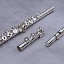 Load image into Gallery viewer, Azumi AZ Z2 RCEO