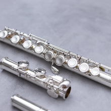 Load image into Gallery viewer, Di Zhao 301