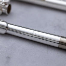 Load image into Gallery viewer, Di Zhao 301 with straight and curved headjoint