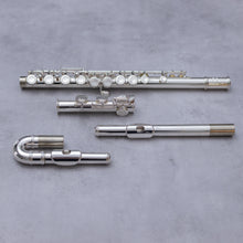 Load image into Gallery viewer, Di Zhao 301 with straight and curved headjoint