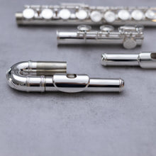 Load image into Gallery viewer, Di Zhao 301 with straight and curved headjoint