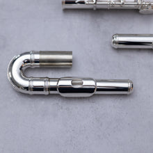 Load image into Gallery viewer, Di Zhao 301 with straight and curved headjoint