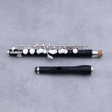 Lataa kuva Galleria-katseluun, Di Zhao 102 Piccolo