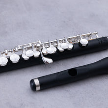 Lataa kuva Galleria-katseluun, Di Zhao 102 Piccolo