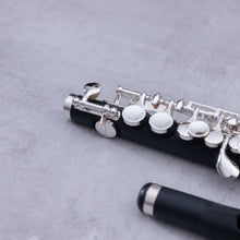 Lataa kuva Galleria-katseluun, Di Zhao 102 Piccolo