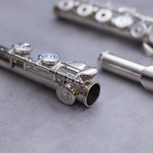 Load image into Gallery viewer, Haynes Amadeus 580SE