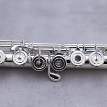 Load image into Gallery viewer, Haynes Amadeus 580SE