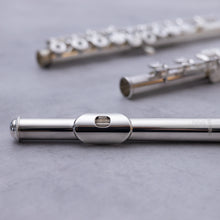 Load image into Gallery viewer, Haynes Amadeus 580SE