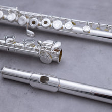 Load image into Gallery viewer, Di Zhao 401