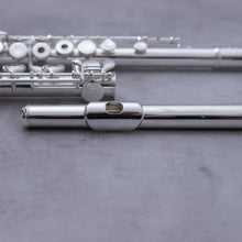 Load image into Gallery viewer, Di Zhao 401