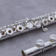 Load image into Gallery viewer, Di Zhao 401