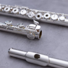 Load image into Gallery viewer, North Bridge 500