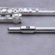 Load image into Gallery viewer, North Bridge 500