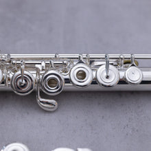 Load image into Gallery viewer, North Bridge 500