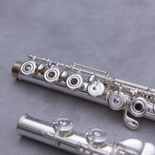 Load image into Gallery viewer, Tomasi TFL-09L-SI