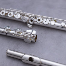 Load image into Gallery viewer, Tomasi TFL-09L-SI