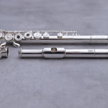 Load image into Gallery viewer, Haynes Amadeus 680SE